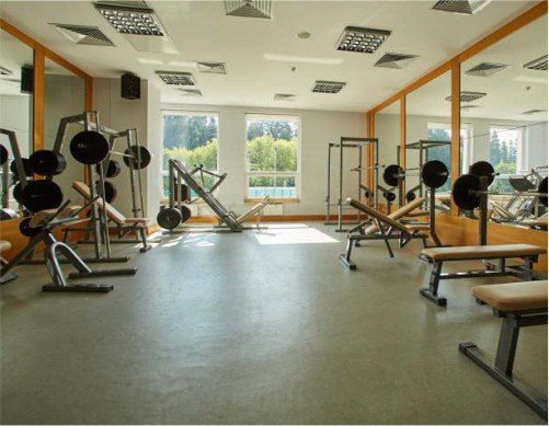 Modern Gymnasium